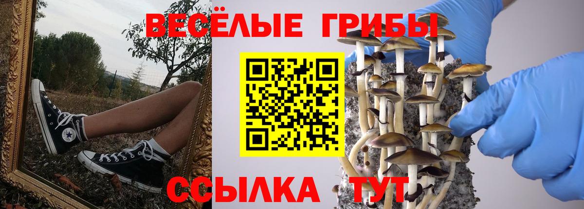 Галлюциногенные грибы MAGIC MUSHROOMS Ишим
